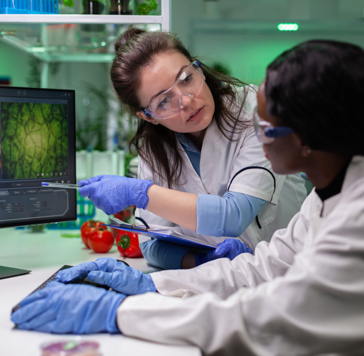 industrias-imagenes_0004_enseคanza